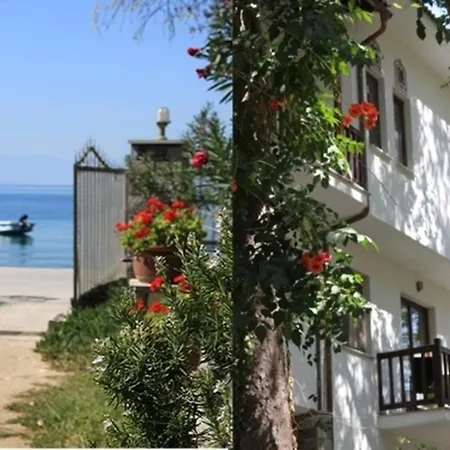 Platanofylla Pelion No.10/11 - #132970 شقة
